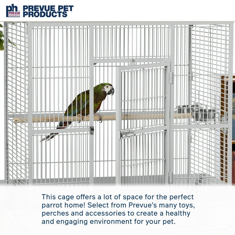 Pets at shop home parrot cages