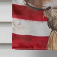 thumbnail image 4 of Carolines Treasures CK6736CHF Telomian American Canvas House Size Outdoor-Flags, Multicolor, 4 of 4