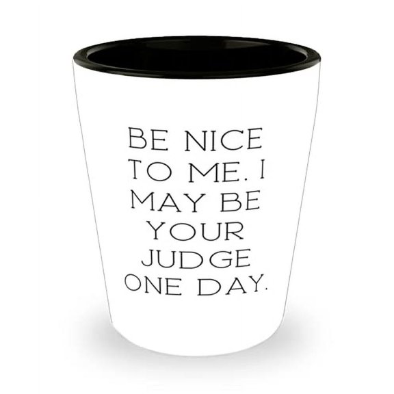 Sarcasm Judge Shot Glass, Be Nice to Me. I May Be Your Judge One Day, Present For Friends, Sarcasm From Friends