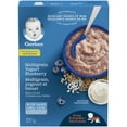 thumbnail image 1 of GERBER® Stage 3 Multigrain Yogurt Blueberry Baby Cereal 227 g, 1 of 9