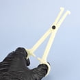 thumbnail image 3 of PUNTURA PLÁSTICA PINTURA Pinzas Pinzas Profesional Portátil Piercing Piercing Tool Accesorios de perforación Lengua Cejas Diagonal Plier Methold CE001254-01, 3 of 7