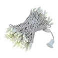 thumbnail image 5 of Novelty Lights 50 Light LED Twinkle Christmas LED Mini Light Set, Outdoor Curtain Fairy Wedding String Lights, Non-Connectable, Warm White, White White, 50 Feet, 5 of 5