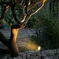 thumbnail image 5 of C Cattleya 12-Pack Outdoor LED Landscape Spotlight with Ground Stakes for Garden Pathway and Courtyard, 5 of 8