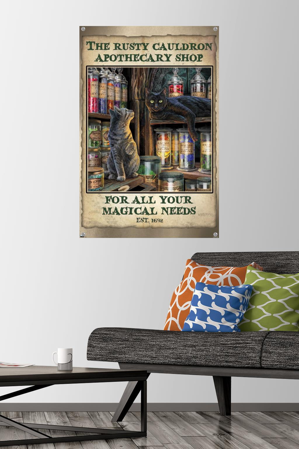 Lisa Parker - Apothecary Shop Wall Poster with Pushpins, 22.375" x 34"