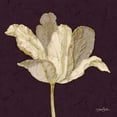 thumbnail image 3 of Stimson, Diane 15x15 Black Modern Framed Museum Art Print Titled - Purple Behind Tulip, 3 of 5