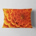 thumbnail image 2 of Designart Large Orange Flower and Petals - Floral Throw Pillow - 12x20, 2 of 5