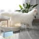 thumbnail image 5 of Juego de palas de metal para arena de gatos, herramientas para gatos, palas grandes con mango de madera, pala de metal para arena de gatos., 5 of 6