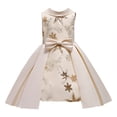 thumbnail image 2 of KYAIGUO Robe de Fête à Sequins pour Bébé Fille Robe de Mariage Fleurie Nœud Robe Sans Manches Tutu Princesse 2-10 Ans, 2 of 9