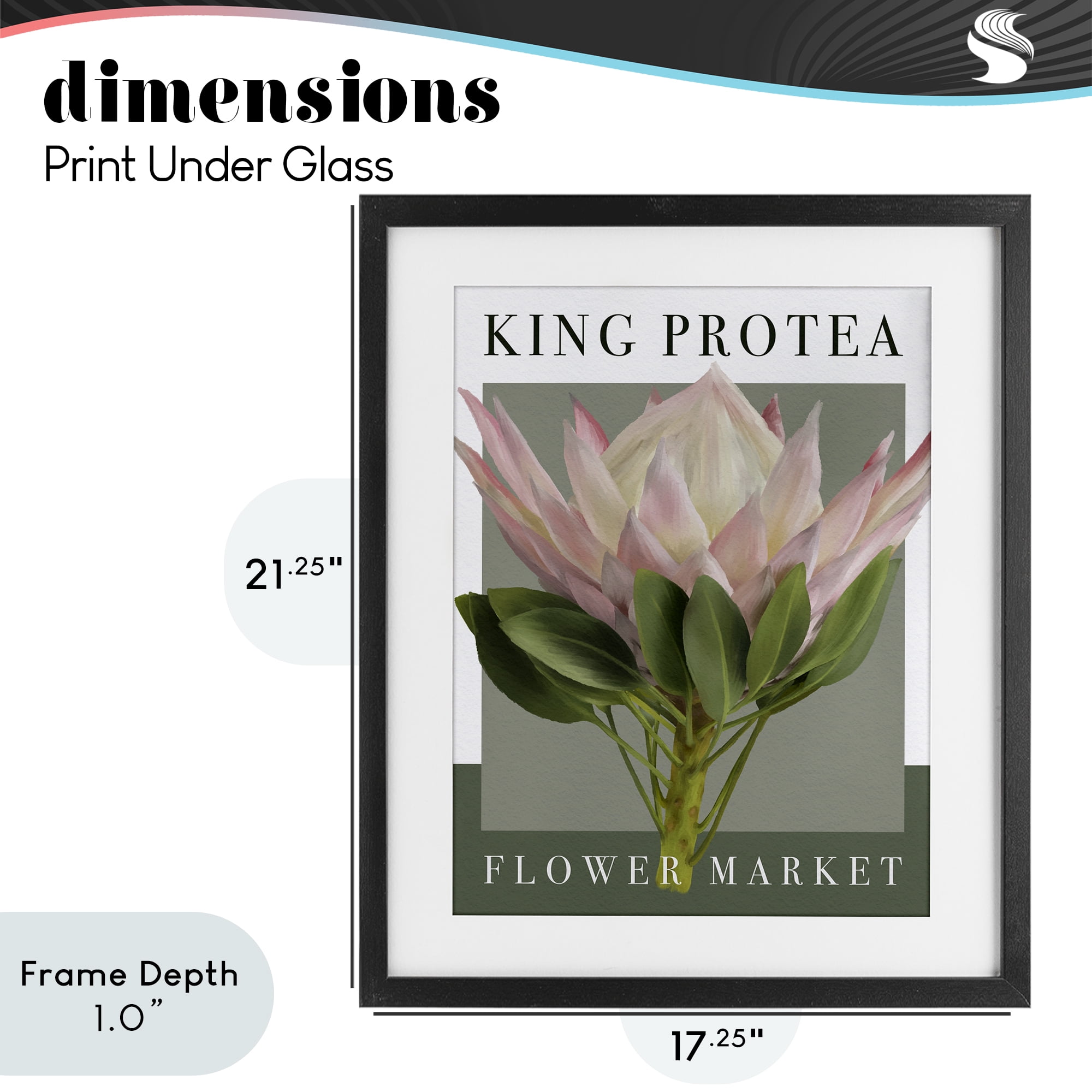 Stupell Industries King Protea Flower Market Black Framed Print Under Glass, design by Jennifer Stith