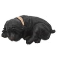 thumbnail image 5 of EXHUMKY 1Pack Resin Key Hider Box for Home Security Black Outdoor Use Garden Accessory Puppy, 5 of 8