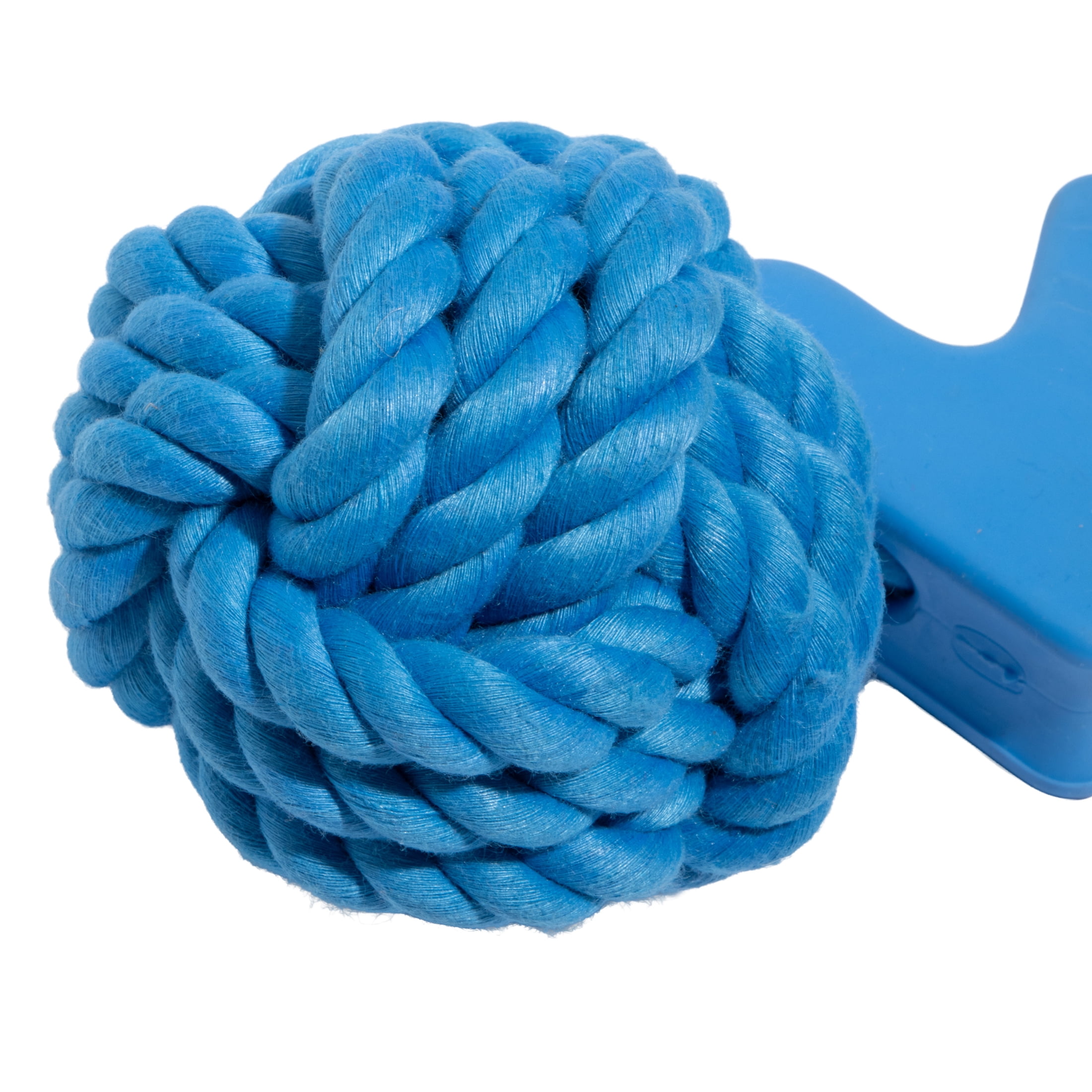 Oodles Durable Squiggle Grip Rope Dog Toy Set, Blue and Green, One Size