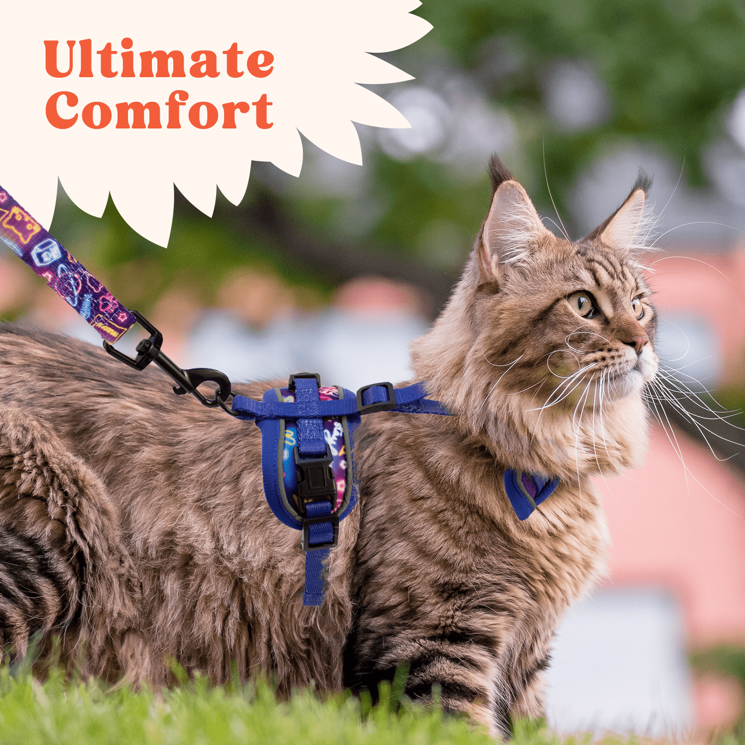 Petgrove Cat Harness and Leash Set Combo Escape Proof for Walking, Neon Nights, Small