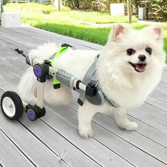 LetPetRun XXS Adjustable Dog Wheelchair for Small Pets, Lightweight Rear Leg Support Cart for Injured or Disabled Dogs