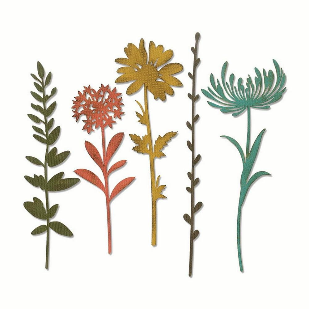 Sizzix Thinlits Die Set 5PK Wildflower Stems 1 by Tim Holtz