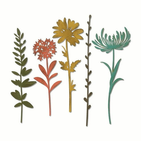UPC: 0630454257141 | Sizzix Thinlits Die Set 5PK – Wildflower Stems #1 by Tim Holtz