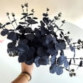 thumbnail image 4 of Espacio De 5 Piezas Billuyoard Con Tallos De Eucalipto Artificial Realista Negro 34, 4 of 6