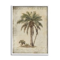 Stupell Industries Vintage Palm Tree Study Botanical & Floral Painting White Framed Art Print Wall Art, 16 x 20