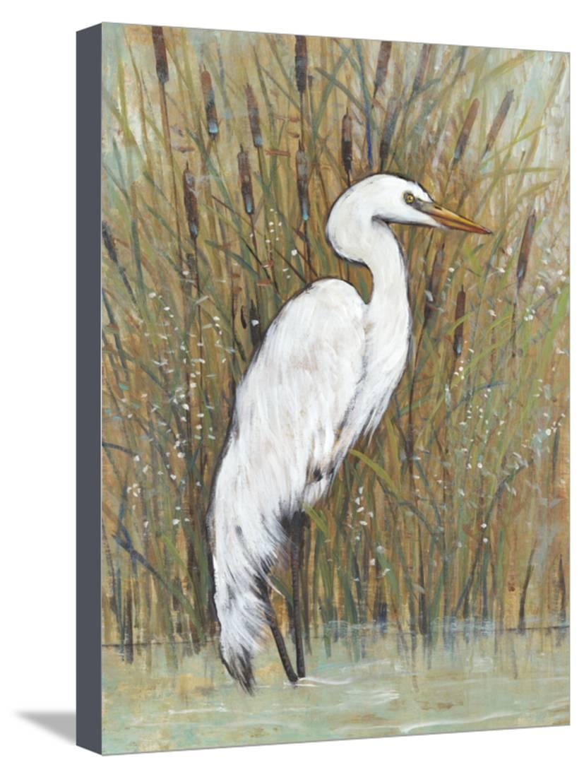 White Egret Ii Coastal Bird Animal Art Stretched Canvas Print Wall By Tim Otoole