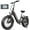 Black-Red, variant on Gocio Electric Bike for Adults, Peak 1025W Mountain E Bike, 48V 13AH Removable Lithium-Ion Battery Ebikes, 20"x4.0" Fat Tire Electric Bicycles, 3A Fast Charge, 60 Miles Man Woman UL2849 Certified