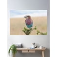 thumbnail image 2 of Pink And Blue Perfect For Boys And Girls Poster Wall Art, Modern Wall Decor For Living Room Bedroom, 16x24 UNFRAMED, 2 of 3