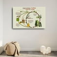 thumbnail image 2 of The Carbon Cycle Poster Science Education (4) Canvas for Bedroom Living Room Decor, 2 of 4