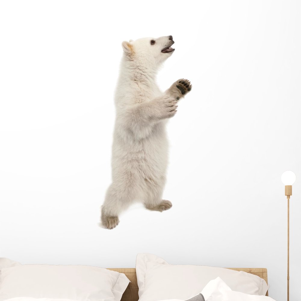 Polar Bear Cub Standing Wall Mural by Wallmonkeys Peel and Stick