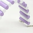 thumbnail image 5 of Bridge Wood Hamster Arch Bridge Bendable Colorful Small Animal Climbing Ladder for Hamsters Mice Rabbits, 5 of 5