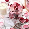 thumbnail image 6 of 200PCS Silk Rose Petals: Faux Silk Rose Petals Artificial Flower Petals for Wedding, Aisle, Flower Girl Baskets, Table Centerpiece, Party, Romantic Night Decoration (Coral Blush), 6 of 12