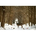 thumbnail image 2 of Grippo-Pike, Carrie Ann 18x13 Black Ornate Wood Framed with Double Matting Museum Art Print Titled - The Forest of Snow White, 2 of 4