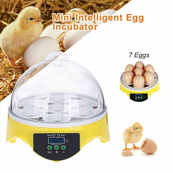 Mini Transparent Smart Temperature Control 7 Chicken Egg Incubator with User Manual