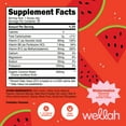 thumbnail image 5 of Wellah Electrolytes Powder (Watermelon) 50 Servings - Hydration Drink Mix, 7 Vitamins & Minerals, Zero Sugar, 5 of 5