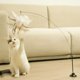 thumbnail image 4 of Juguetes para gatos Juguetes interactivos con plumas Ventosa para mascotas Juguetes para interiores MFZFUKR BST2002314, 4 of 5
