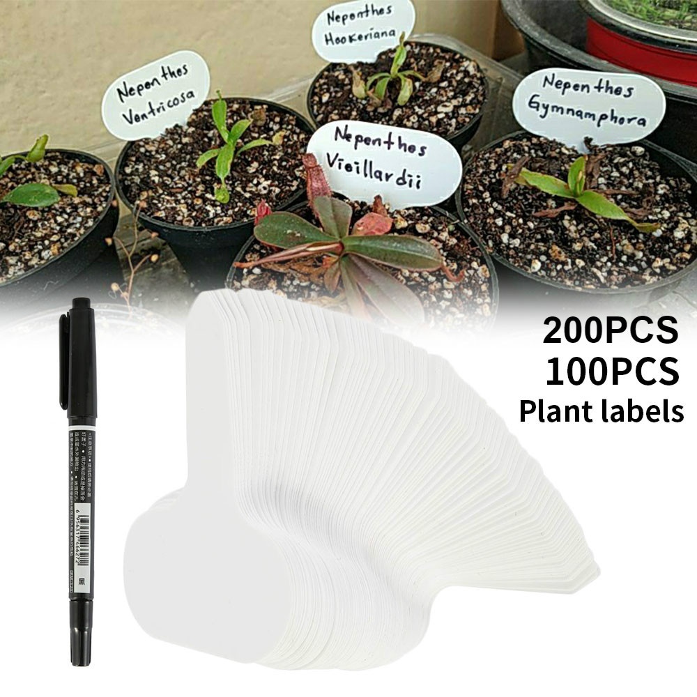Willstar 200pcs Plastic Plant Labels with 2 Marker Pen, Plastic T-type  Garden Tags Plant Flower Label Nursery Thick Tag Markers Plant Tags Wooden  ...