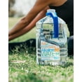 Alkaline88 Purified, Ionized Alkaline Water 1 gallon bottle