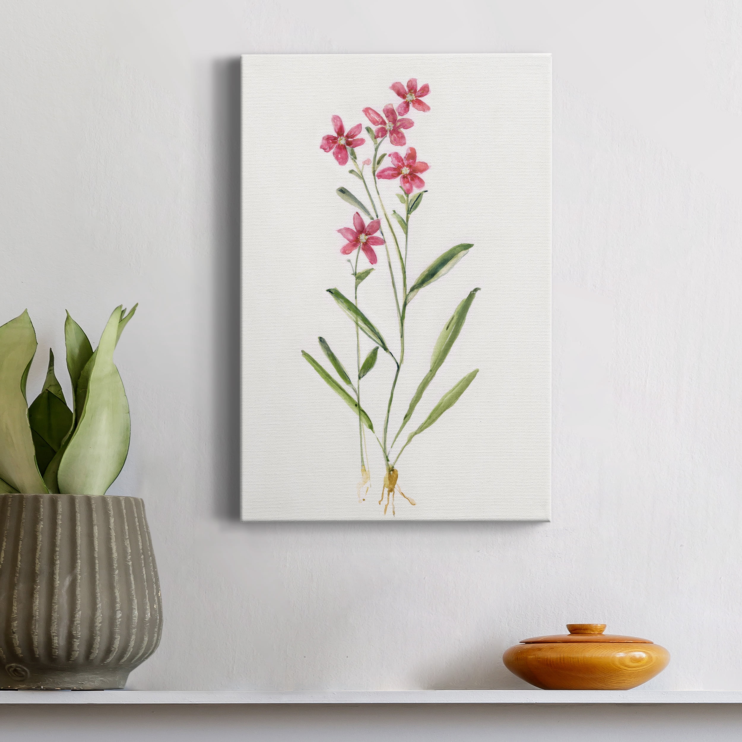 Delicate Pink II Premium Gallery Wrapped Canvas - Ready to Hang - 8 x 12