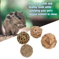 thumbnail image 4 of 4 Uds. Animal PEQUEÑO juguete de actividad mascotas bolas para masticar conejos cobayas jerbos, 4 of 7