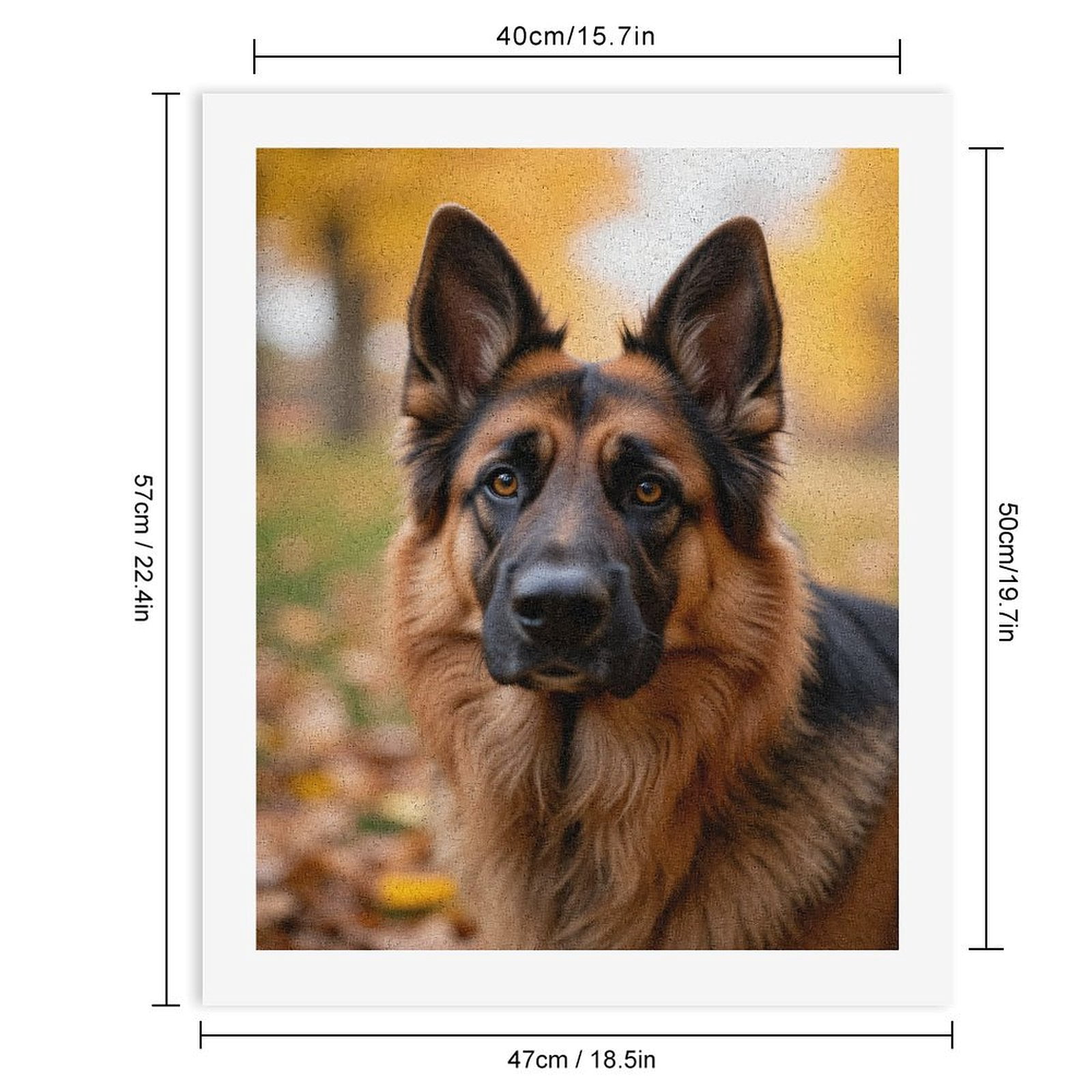 Paint by Numbers Kit for Adults, Portrait German Shepherd Autumn Leaves Paint by Numbers, Easy Paint by Numbers Kit for Adults Beginner, DIY Adult Paint by Number Kits on Canvas, 12x16in Home Decor