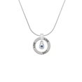 thumbnail image 2 of Delight Jewelry Silvertone Mini Horseshoe with Blue Crystal Live Ring Charm Necklace, 18", 2 of 4