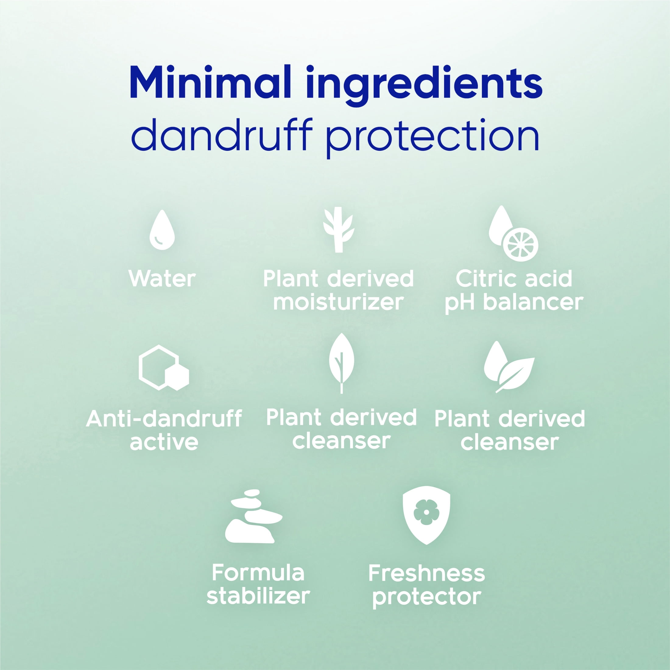 Bare Sensitive Scalp Care Dandruff Shampoo, Anti-Dandruff Treatment, 13.5 fl oz