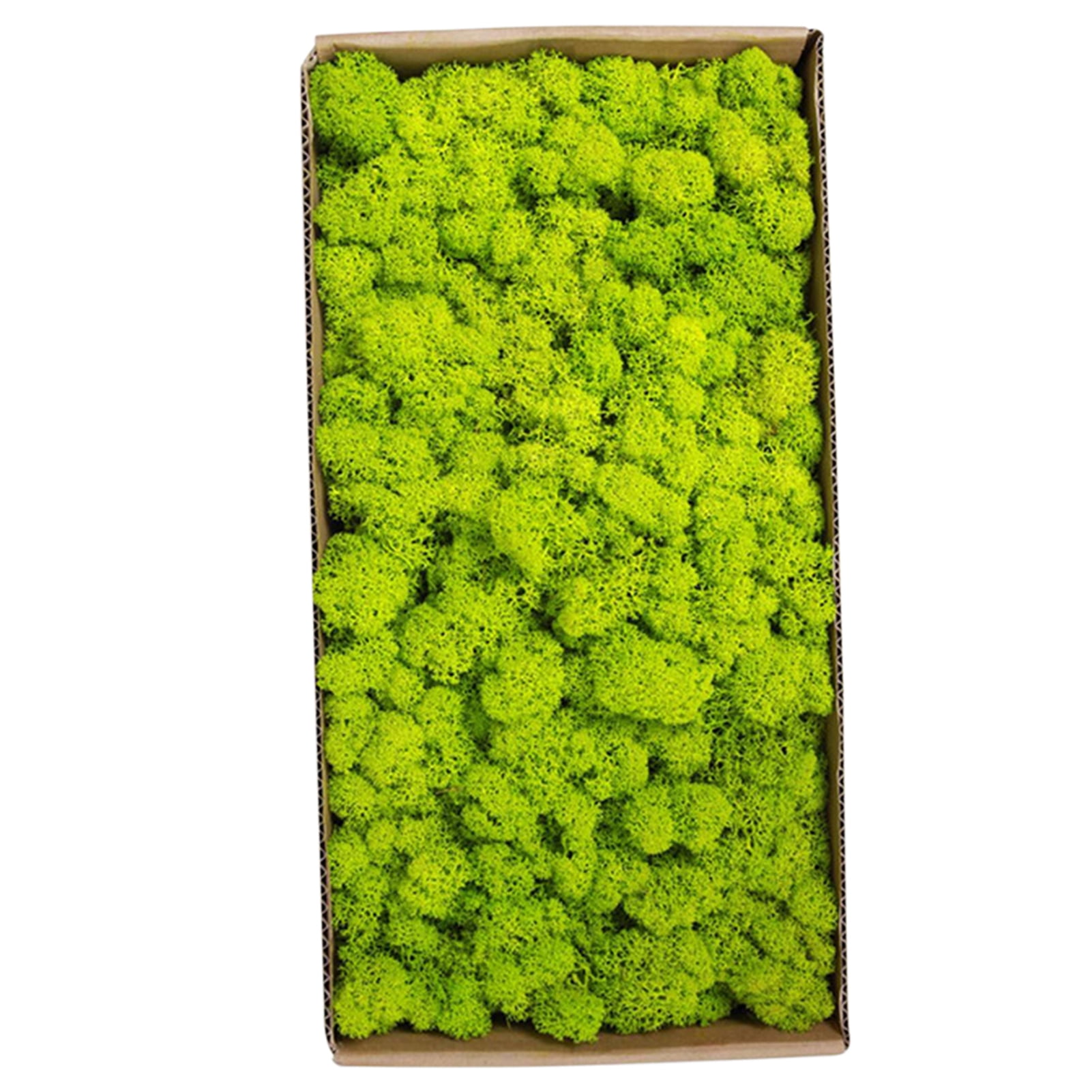 Tomfoto Preserved Moss Wall Decor Real Preserved Moss No Maintenance
