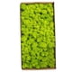 thumbnail image 1 of Musgo conservado Decoración de pared Musgo conservado real No requiere mantenimiento Musgo conservado naturalmente para el hogar, 1 of 8