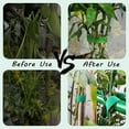 thumbnail image 5 of Self Adhesive Plant Tape, Green Gardening Binding Tape for Climbing Plants, Adjustable & Reusable Flower Support Tie for Garden, Balcony, Yard – 1 Roll, 5 of 6