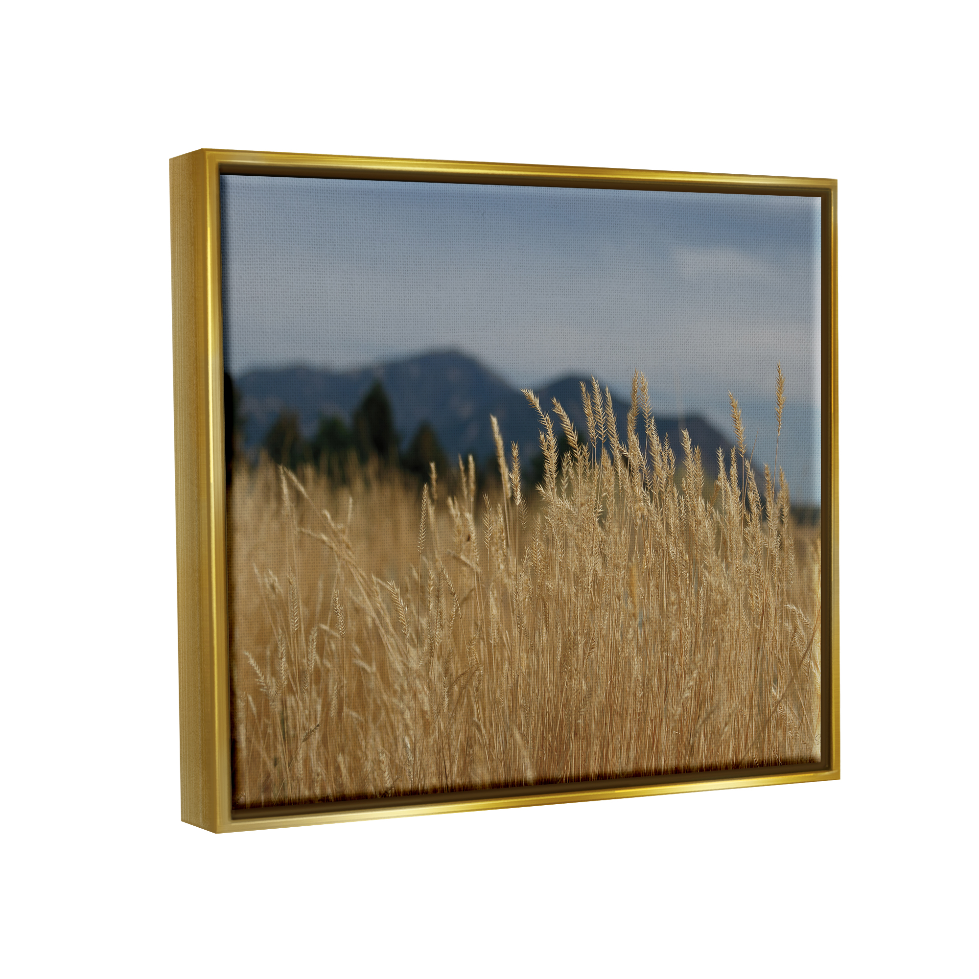 Stupell Industries Wheat Field Landscape Nature Photography Gold Floater Framed Art Print Wall Art, 31 x 25