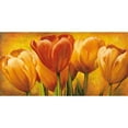 thumbnail image 3 of Pedersen, David 14x9 Black Modern Framed Museum Art Print Titled - Bouquet of orange tulips, 3 of 5