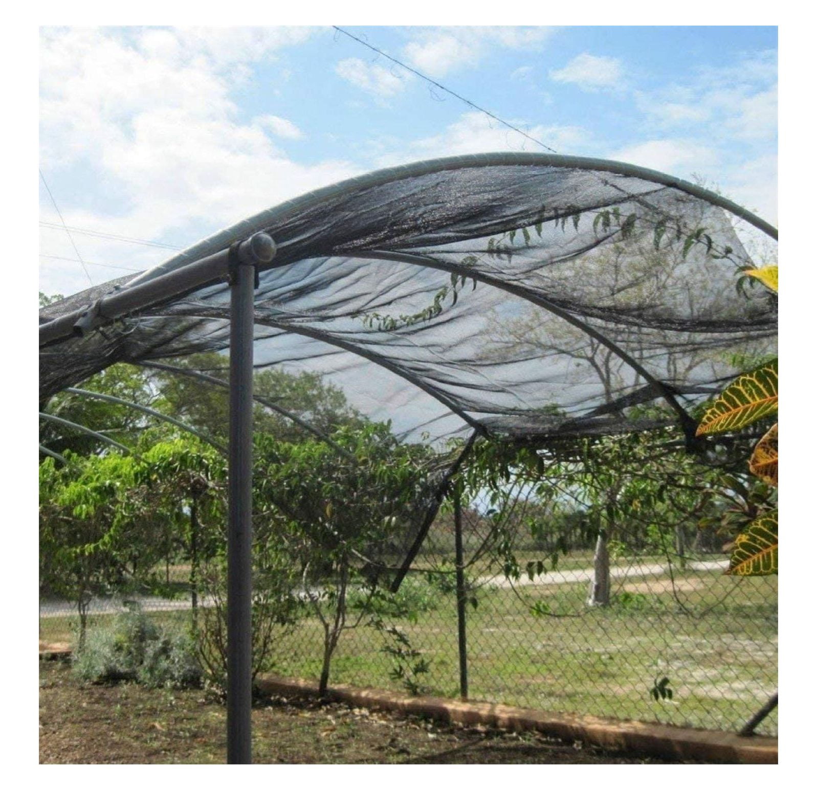 50% Shade Cloth Black - UV Resistant Sunblock Fabric for Plants, Garden, Patio - 6ft x 12ft with Clips