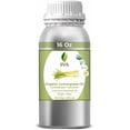 thumbnail image 3 of SVA Lemongrass Essential Oil Organic – 16 Fl Oz – 100% Natural Organic Lemongrass Oil for Hair, Face, Skin Care, Diffuser, Aromatherapy, Scalp, Body Massage, Soap and Candle Making, 3 of 8