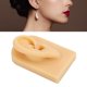 thumbnail image 5 of Modelo Oreja Silicona Suave Acupuntura 3D Pantallas Oreja Reutilizadas Molde Herramienta Perforación Oreja Suave para Práctica Exhibición Aretes Acupuntura Exhibición Joyas ANGGREK Otros, 5 of 8