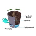 thumbnail image 4 of Uxcell 4.5"/5.5" Plastic Plant Pots Flower Planters with Drainage Hole Removable Base, Purple 2 Pack, 4 of 5