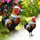 thumbnail image 2 of Navidad Decoración Navideña Para Jardín Con Pollo Decoración Festiva Para Jardín Con Pollo Cartel De Bienvenida Navideño Decoración Con Tarjeta De Pollo Para Jardín, 2 of 6