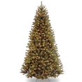 thumbnail image 1 of National Tree NRV7-300-60 6 ft. North Valley Spruce Tree With 400 Clear Lights, 1 of 2